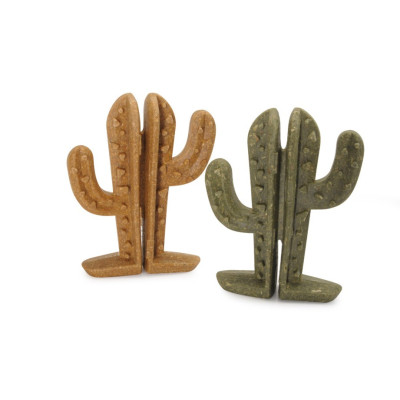 Cactus Mix - pochúťka pre malých domácich miláčikov