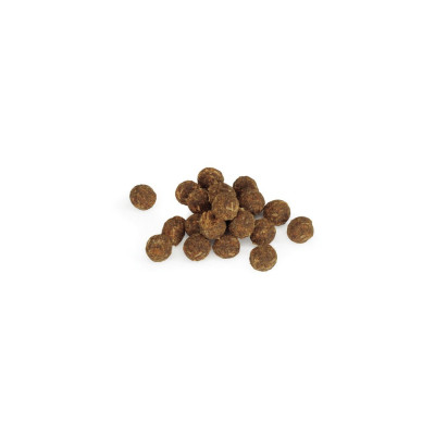 Treats&Snacks Dog - kuracie s kokosom 500g